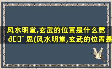 风水明堂,玄武的位置是什么意 🐯 思(风水明堂,玄武的位置是什么意思啊)